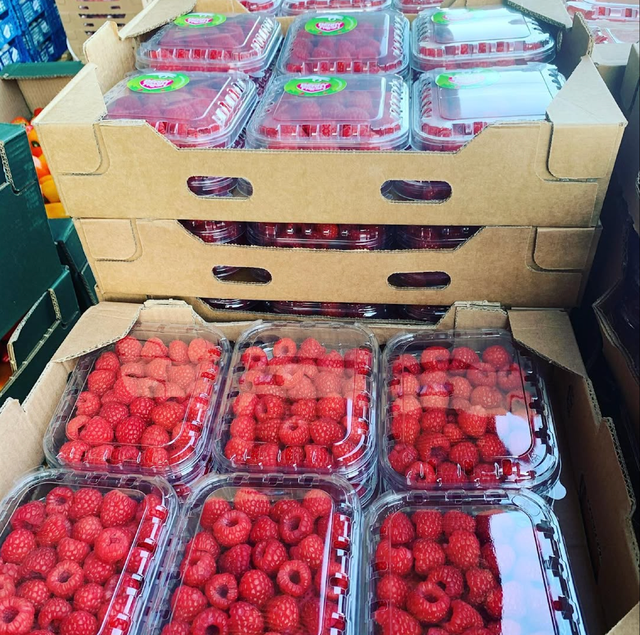 EXCEPTIONAL FRESHNESS RICH AROMA RASPBERRIES NATURALLY SWEET TART TASTE 170g FRESH BERRIES PACKS ON SALE - Image 1