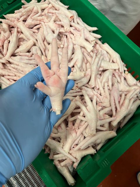 Chicken paws - Image 3