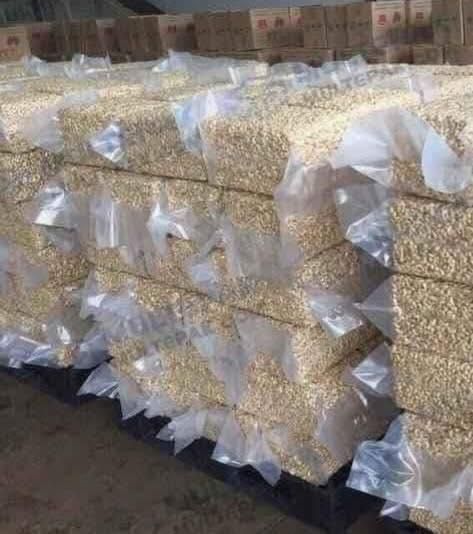 wholesale Cashew Nuts-Export Quality at Best Prices Shape bean Color white Texture firm Grade Premium Packaging 5kg,10kg - Image 3