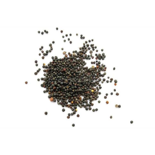 Clean and graded canola seeds offered in wholesale for oil mills and traders - Image 4