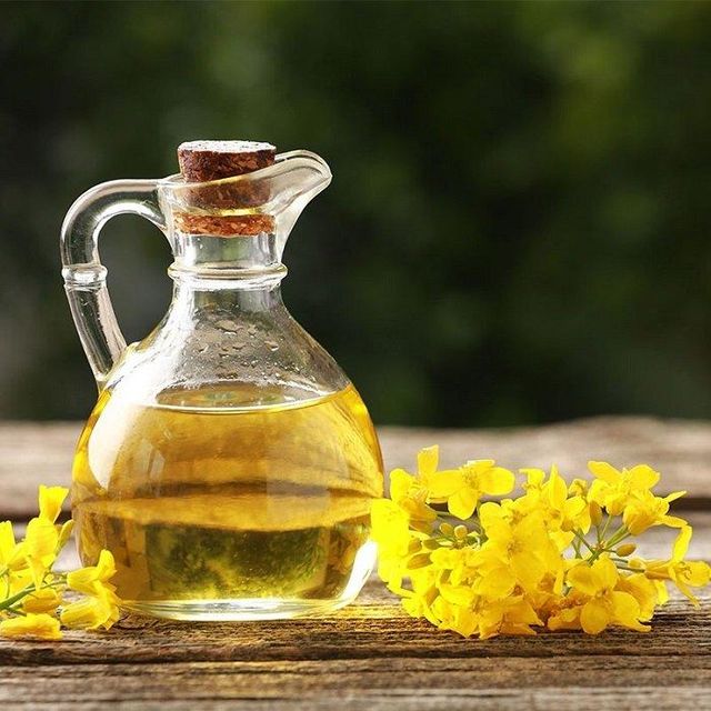 Organic Refined Rapeseed Oil Canola Vegetable Edible Oil Wholesale Price Fast Delivery Best Choice for Healthy Cooking - Image 4