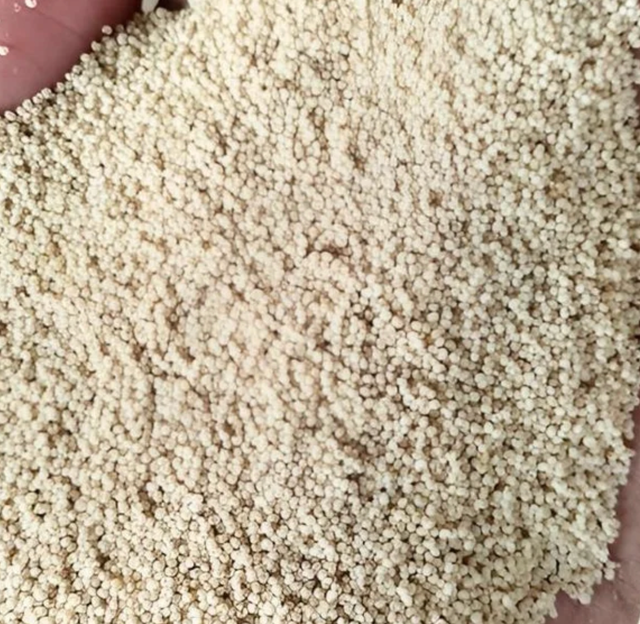 Poppy Seeds - Image 4