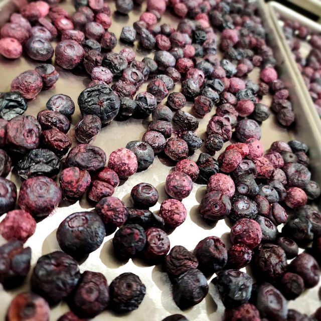 100 % Pure Natural Dried blueberries For Bulk Wholesale Fresh Processing Dried blueberries With Strong Market Demand - Image 2