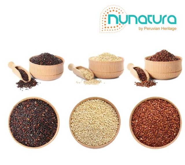 Quinoa powder fluor Appearance Powder Shelf Life 2 years Packaging 25 Kg bag Place of Origin Peru Odor And Taste Characteristic - Image 3