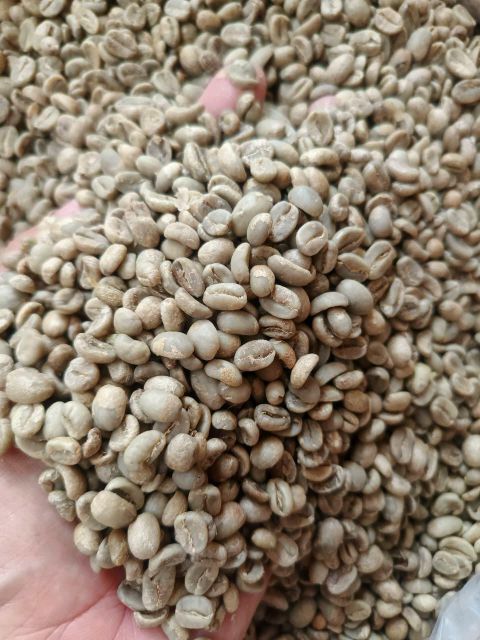 premium Indonesian Green Bean Coffee - Image 5