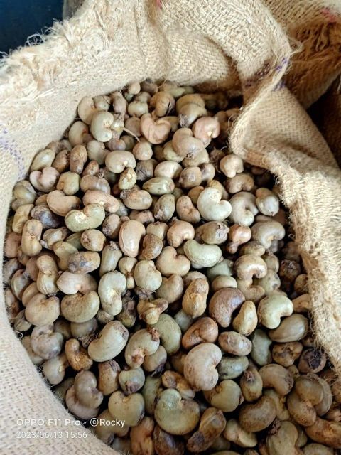 High Quality Raw Cashew Nuts for Snack Manufacturers Bakeries Confectionery Production - Image 1
