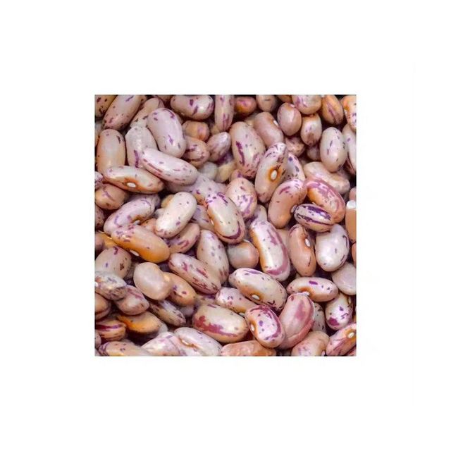 Top selling sugar beans for bulk shipment across global markets - Image 2