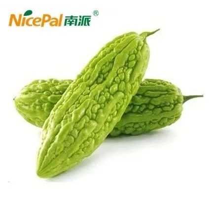 Balsam Pear Juice Powder for Beverage From Nicepal - Image 6