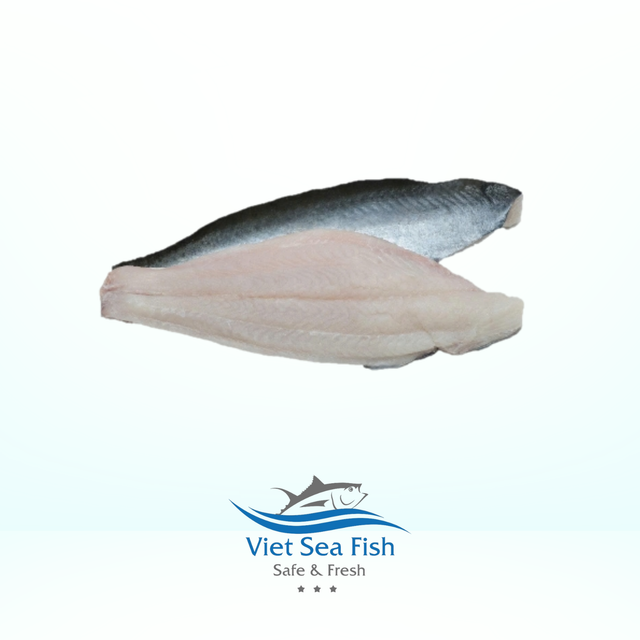 Frozen Pangasius Fillets - Image 1