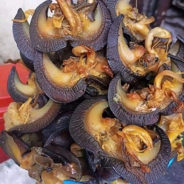 Premium Quality Multi-Colored Sour Salty Dried African Snails 25kg Bag Packaging Healthy Factory Direct - Image 4