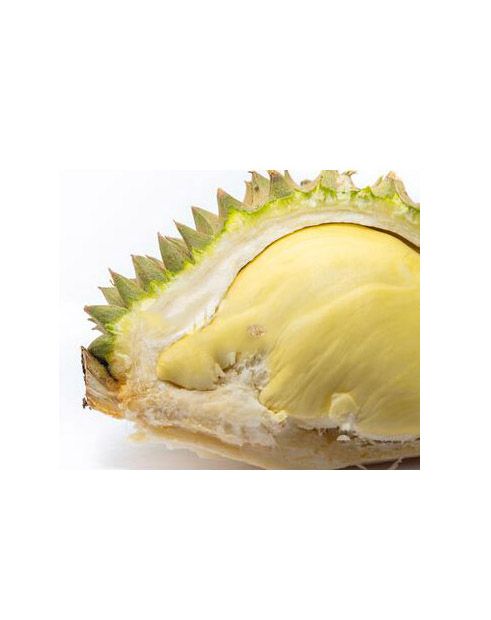Wholesales High Quality Export Grade Delicious Sweet Fresh Fruits Best Seller New Crops Thai Fruit Thai Durian Monthong - Image 1