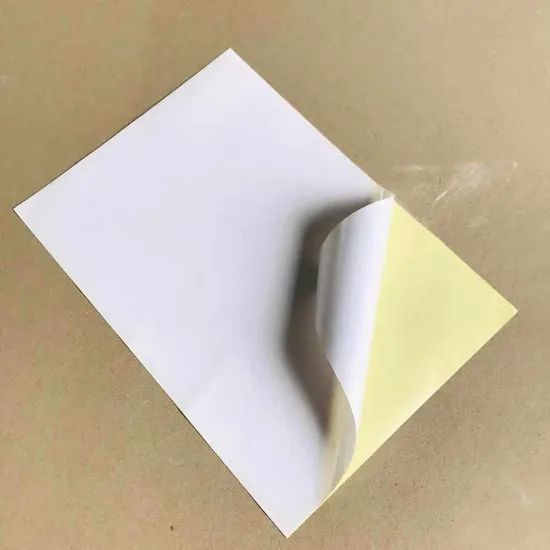 Semi Glossy Cast Coated Sticker Paper - Image 5
