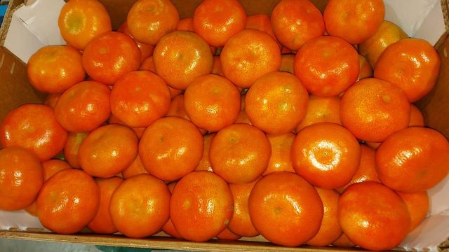 Mandarins W. Murcott Place of Origin Peru Packaging 10 kg / 15 - Image 2