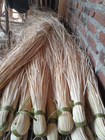 Peel Of Rattan - Image 2