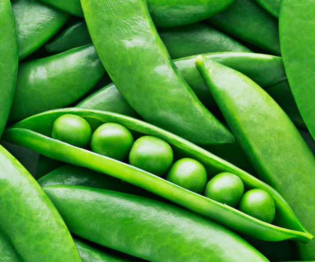 Best Quality Green Peas Bulk Style Storage Packing and Packaging for export NON-GMO , OEM - Image 3