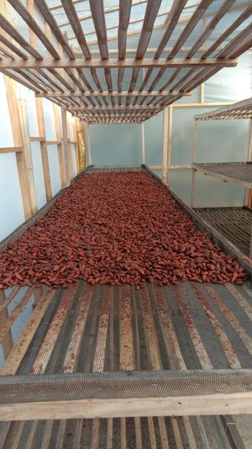 Terracoa Cacao Butter – product photo 2, product detail gallery