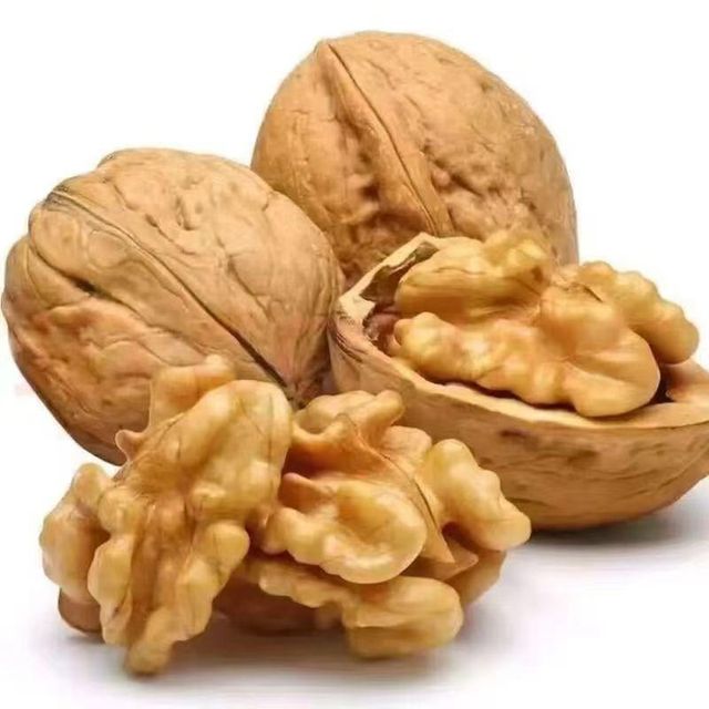 Walnut Kernel - Image 5