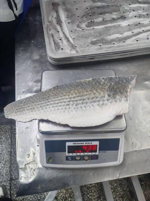 Frozen Mullet Fillet - Image 4