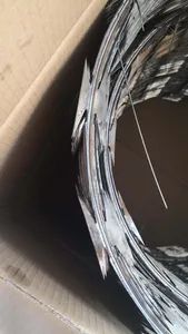 Galvanized Iron Wire/Blade/Razor Barbed Wire - Image 6