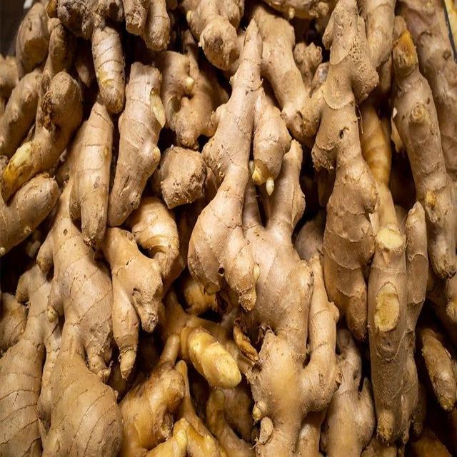 New Crop Fresh Ginger For Sale Ginger Root Superior Quality Spicy and Fragrant Flavor Ginger Exporters - Image 3