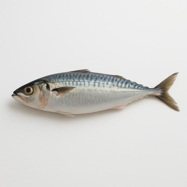 Frozen Mackerel Fish Export Ready Whole Seafood Processed Under Strict Quality Control For Global Buyers - Image 5