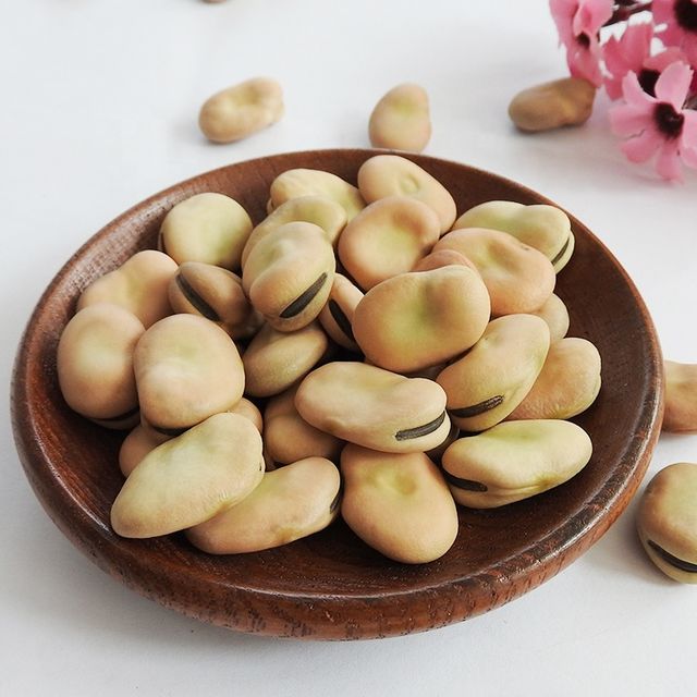 High Quality canned Broad Beans/ Fava Beans With Competitive Price 16mm - Image 3