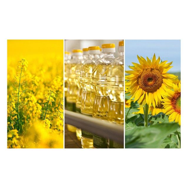 sunflower oil for commercial and home cooking premium refined vegetable oil with high heat stability neutral taste and consistent quality suitable for frying grilling baking and daily meal preparation - Image 3