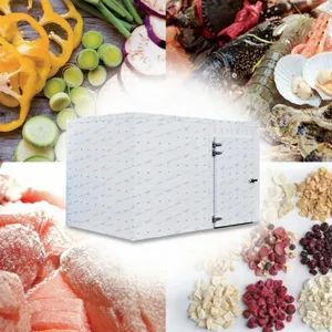Hot Sell Walk in Freezer Cold Room Refrigeration Equipment Modular Cold Room Storage - Image 5