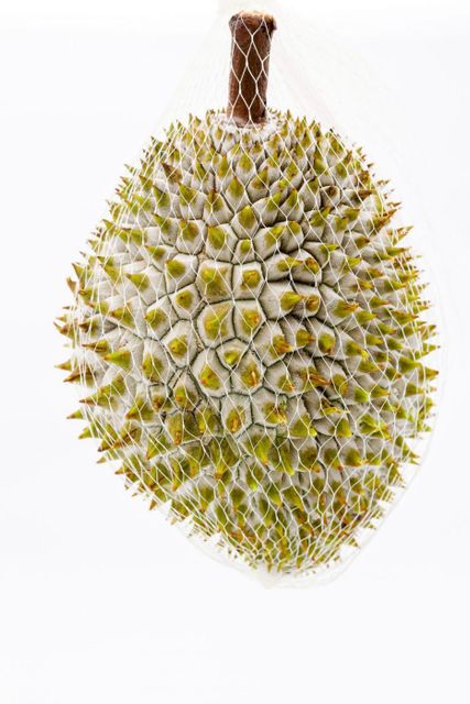 Frozen Durian Fruit Whole/ Frozen Fruits Mango , Passion Fruit, Vegetable...- Whatsapp 0084 989 322 607 - Image 4
