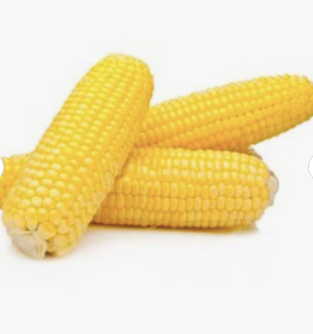Cheap Dried Yellow Corn Online/ Dry Corn / Buy Dried Corn Maize/ Maize Yellow Corn Manufacturers / Non-GMO Dried Corn - Image 3