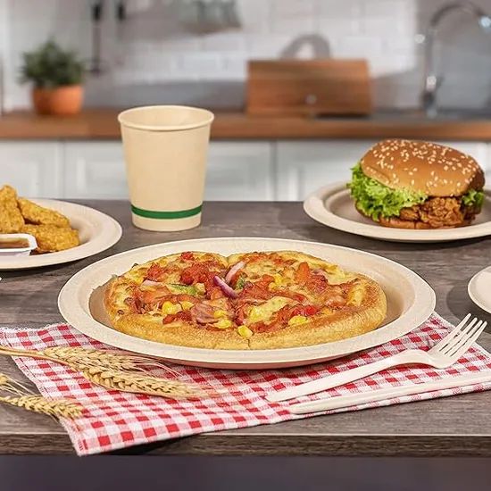 High Quality Compostable Paper Disposable Sugarcane Tableware - Image 6