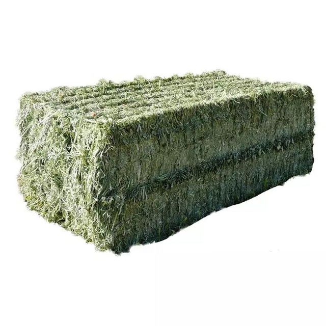 Quality alfalfa hay bays / Alfalfa pellets / Dehydrated Alfalfa cubes timothy hay - Image 3