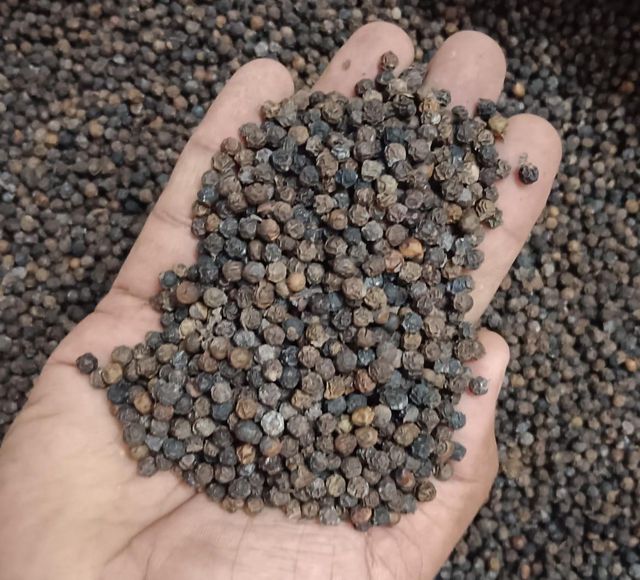 Black pepper - Image 1