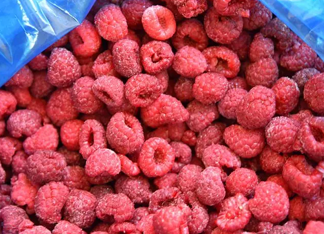 Wholesale Supplier Of Organic Frozen Raspberries in bulk Grade A Form Frozen Taste Sweet Texture Juicy Color Vibrant Shelf Life Up To 24 Months - Image 4