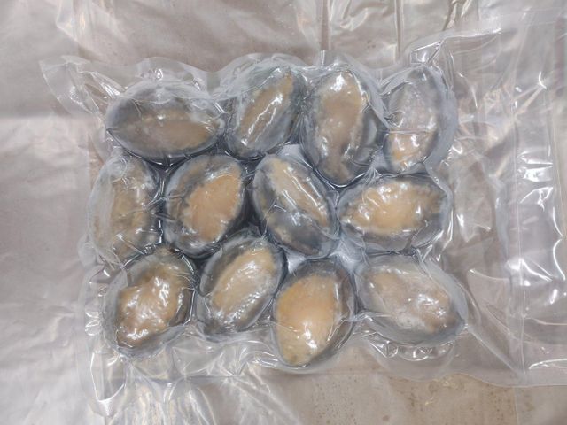 Frozen Boiled Abalone - Image 2