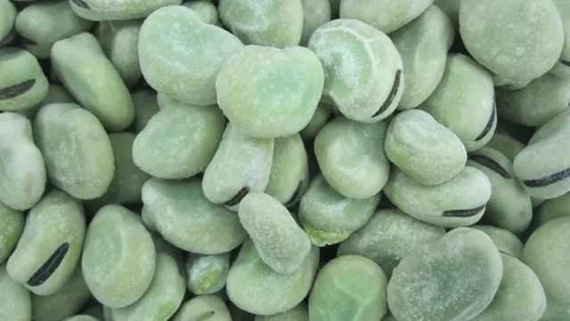 Wholesale Frozen Broad Beans  Freezing Process - Image 4