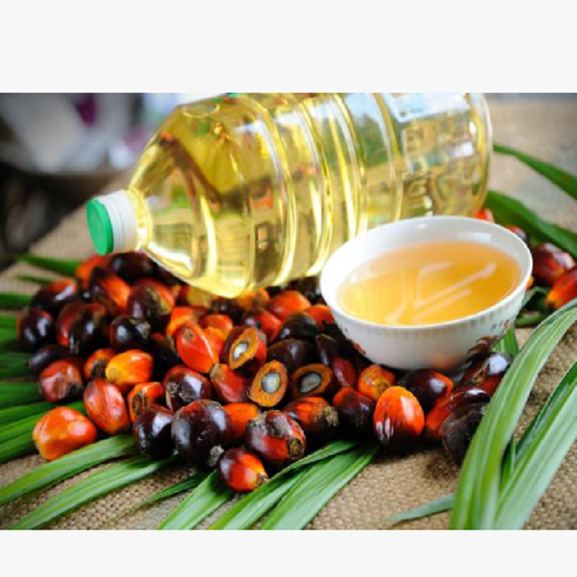 Crude & Refined Palm Oil – Premium Quality, Red Palm Oil for Sale - Image 4