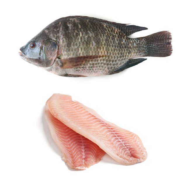 Wholesale Supply Frozen Black Tilapia Cold Storage with high natural taste - Image 3