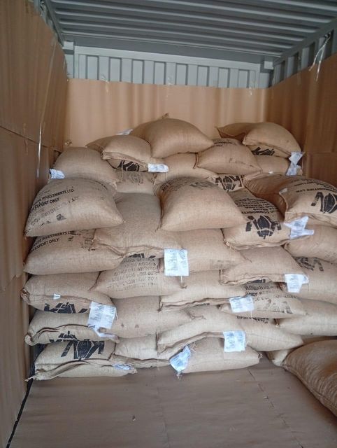 Cocoa beans from Uganda Origin Uganda Bean Type Natural Degree of Processing Raw - Image 4