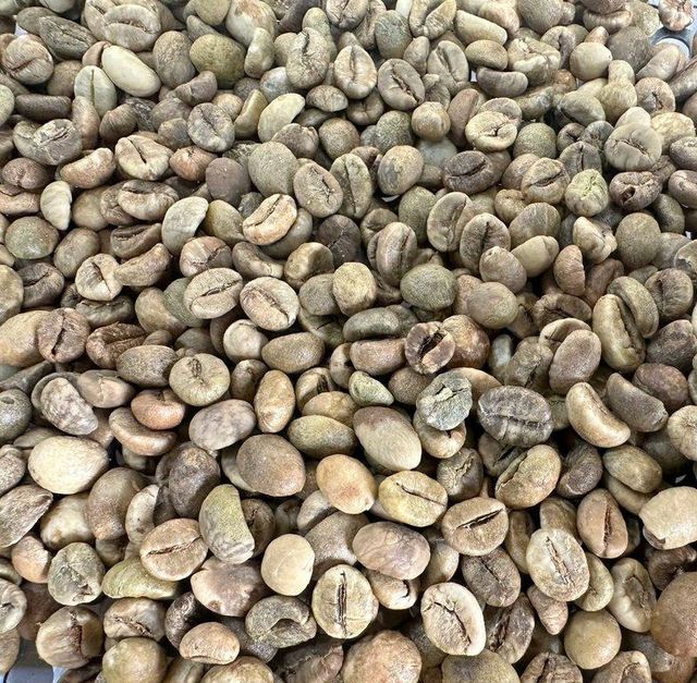 Premium Heavy-Body Indonesian Robusta Green Coffee Beans (Grade 1 - 4) - Image 3