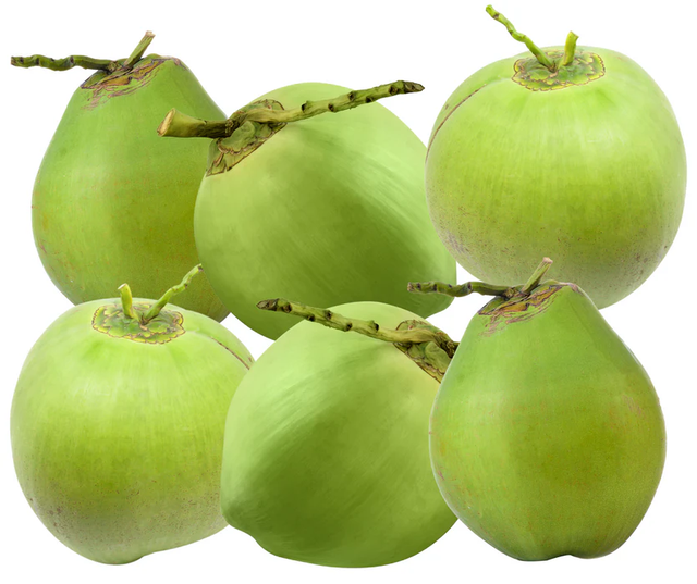 Fresh Young Coconut From Viet Nam OEM Brands Cheap Price Good Quality Sweet Fresh Coconut - Image 4