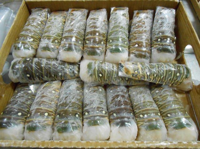 Natural Frozen Lobster Tail Wild Harvest Seafood Premium Quality Rich Taste Perfect For Elegant Family Meals - Image 4