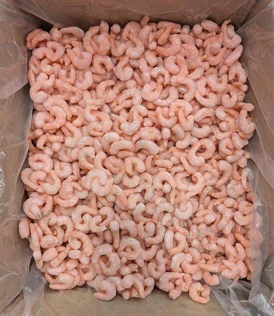 COOKED PUD SHRIMP - Image 1