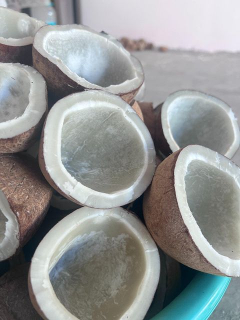 Low Fat Sweet Water Processed Whole Coconut Copra 5% Moisture 12 Months Shelf Life 1kg Export - Image 3
