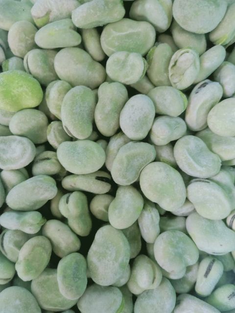 Frozen IQF BROAD BEAN Shape cube Content no Address no Type potato Style FROZEN Packaging Bulk Ingredients no Weight (kg) - Image 2