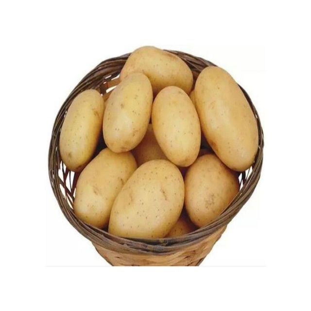 New season fresh sweet potatoes wholesale HOT Sale/Potato In Bulk At Cheap Price - Image 3