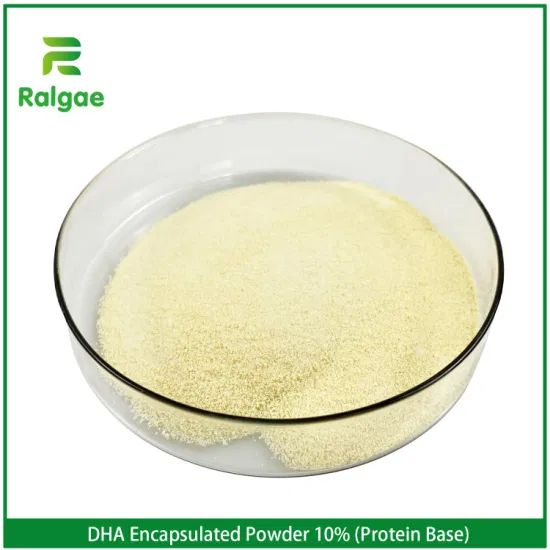 Encapsulated DHA Powder DHA Oil Milk Powder Nutrition Ingredient - Image 1