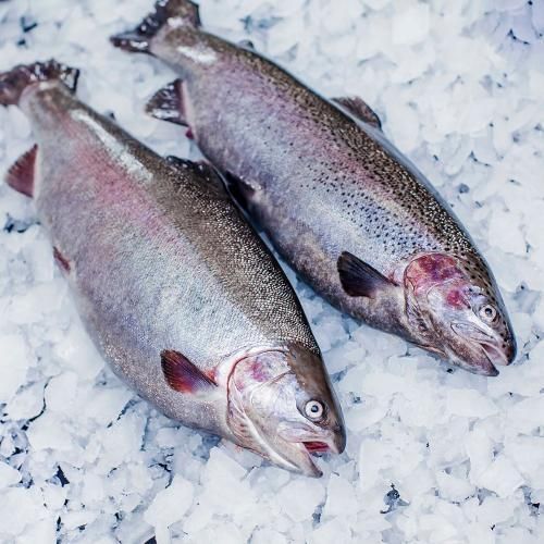 Trout fillet s/s (slices) - Image 1