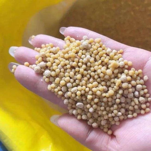 Export Quality Dap Fertilizer For Modern Farming Applications Supporting Improved Soil Fertility And Crop Potential - Image 1