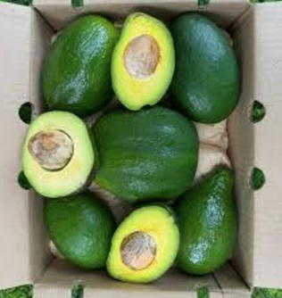 Fresh Green Cavendish Banana. wholesale - Image 4